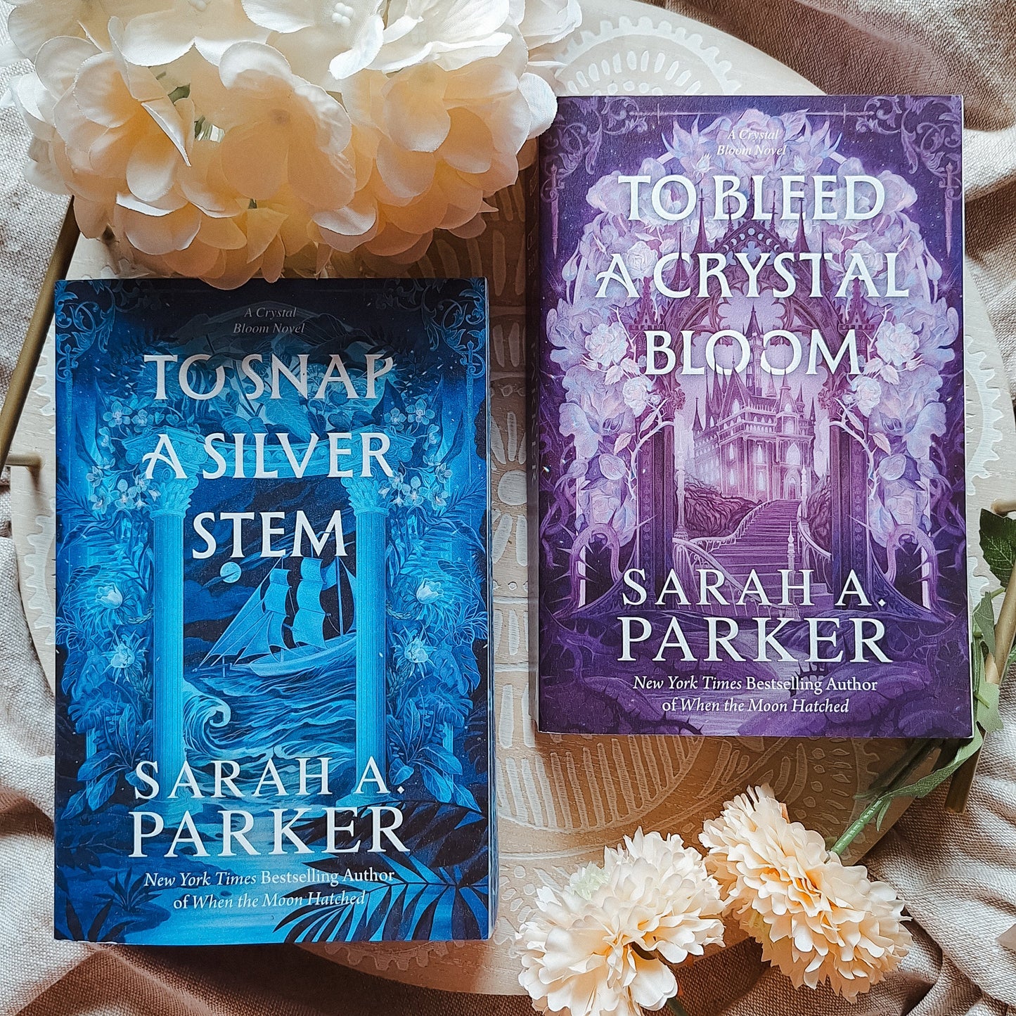 To Snap A Silver Stem (Special Paperback Edition) Sarah A. Parker - Imported