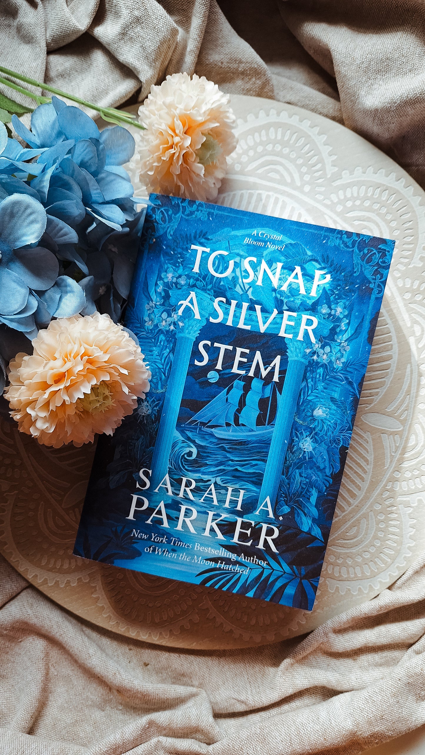 To Snap A Silver Stem (Special Paperback Edition) Sarah A. Parker - Imported